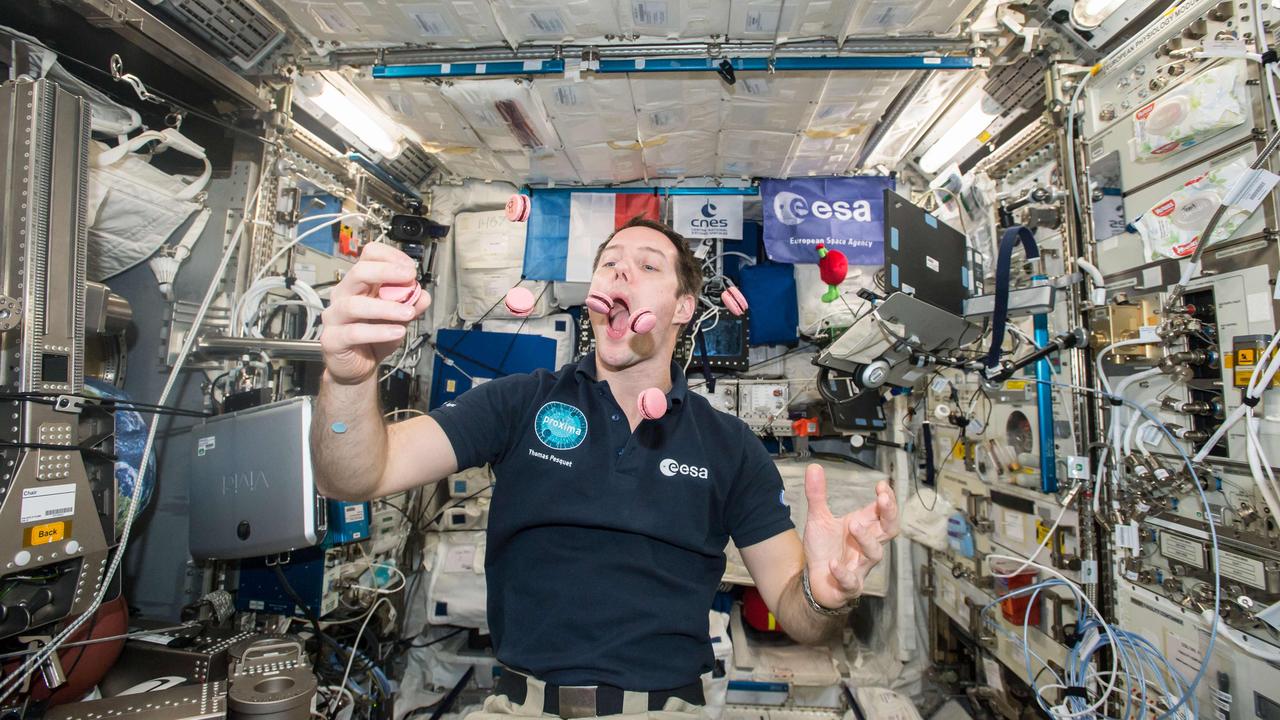 Aleph Farms and astronauts grow 3D-printed meat on the International Space  Station | KidsNews