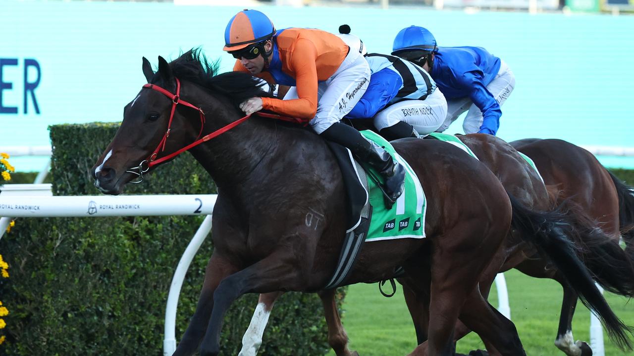 Headley Grange looks set for a big campaign going off his first-up win at Randwick on Saturday. Photo: Jeremy Ng/Getty Images.