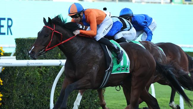 Headley Grange looks set for a big campaign going off his first-up win at Randwick on Saturday. Photo: Jeremy Ng/Getty Images.
