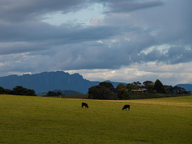 The view of the lush farmland, and Mt Roland in the distance, from The Cove, at Don, near Devonport, on the North-West Coast of Tasmania, where the Wild Wellness Method Retreat was held. Picture: Chris Crerar.