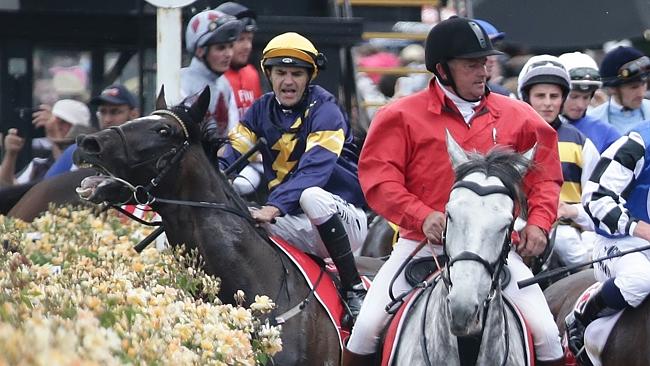 Melbourne Cup: More crowd control to prevent horse deaths after Araldo ...
