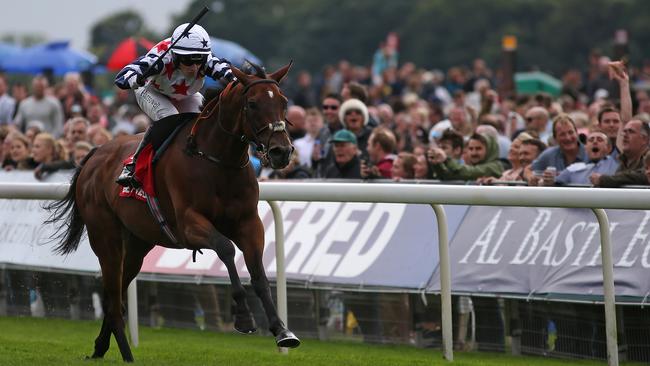 Tony Martin’s lightly raced Heartbreak City. Picture: Getty Images