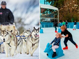art for outdoor winter activities
