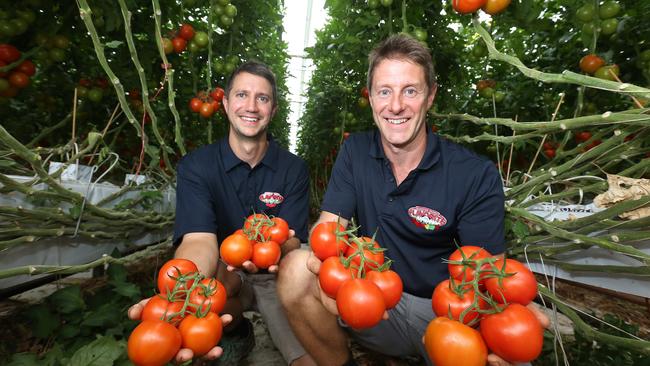 Red roar: Mark Millis’ sons, Ed (left) and Chris Millis, have helped transform Flavorite into a multimillion dollar vertically integrated business. Picture: Yuri Kouzmin