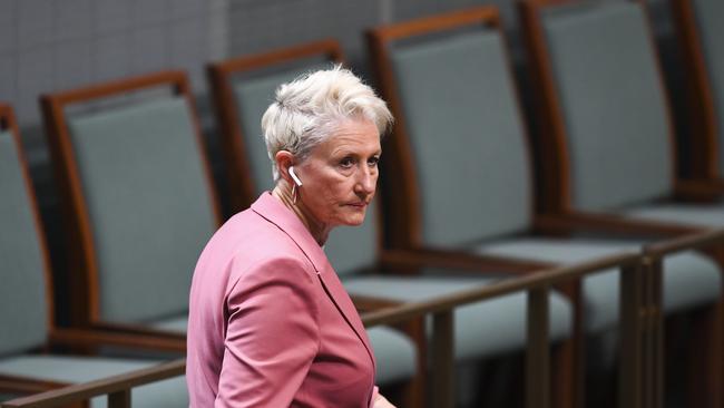 Dr Kerryn Phelps in Parliament.