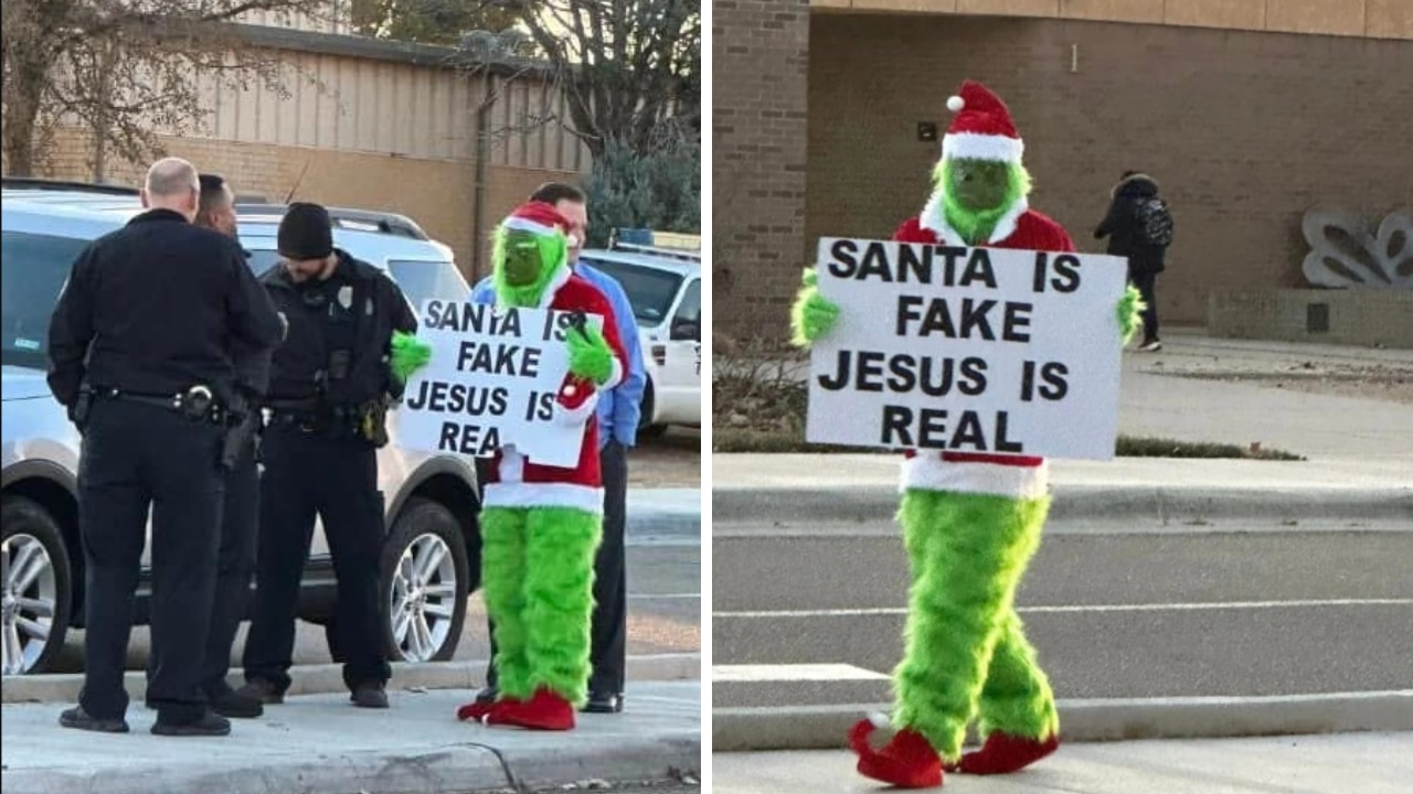 FAKE, The Grinch