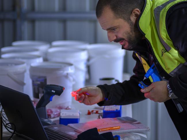 AT WORK: Dr Gianluca Amoroso of Petuna.