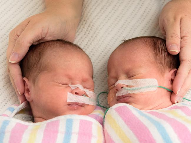 Olivia and Sophia Sacco were born premature, but arrived in time for mum Hayley to include them on her Census form in Grafton Base Hospital.