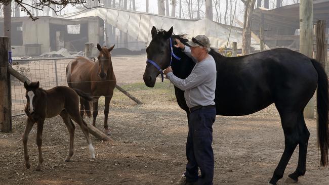 Anthony Thornhill lost accommodation and property to a bushfire but stayed with, and saved, his horses by evacuating with them to his top paddock overnight at his Utopia Park horse property at Koorainghat near Taree. Picture: AAP/Darren Pateman