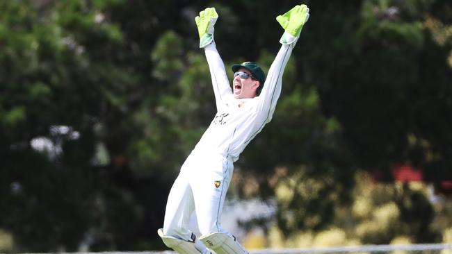 Former Australian cricket Test captain Tim Paine appeals during a Tasmanian second XI match at Lindisfarne, Hobart, on Monday. Picture: Nikki Davis-Jones