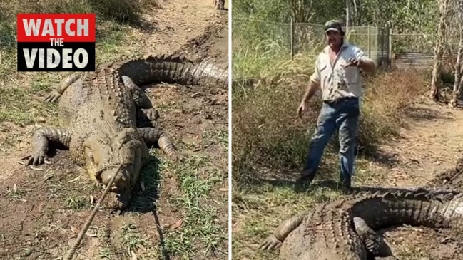 NT croc wrangler Matt Wright with Berry Springs Tavern's new saltie