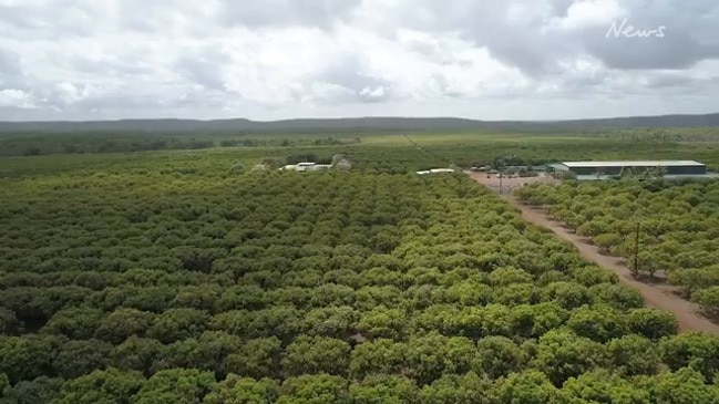 Sealing of mango farm roads in the NT