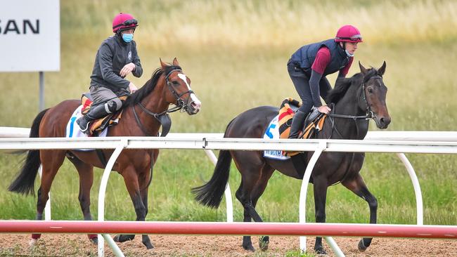 Aidan O’Brien-trained Melbourne Cup favourites Tiger Moth and Anthony Van Dyck at Werribee Racecourse. Picture: Getty Images