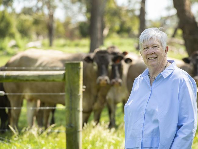 Beef farmer Faye Tuchtan is a beef farmer in the Bass electorate. Picture: Zoe Phillips