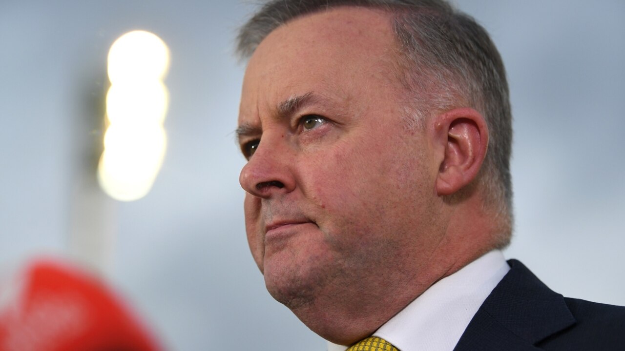 Albanese set to run unopposed for Labor leadership