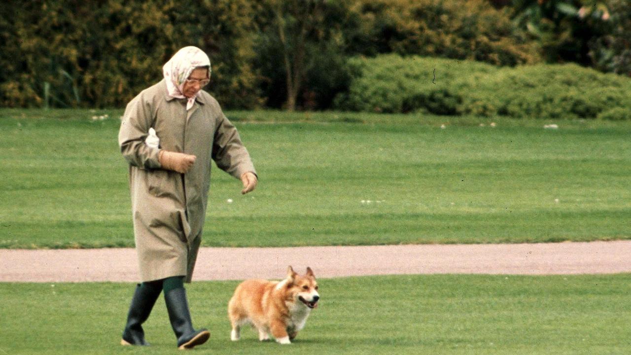 Queen Elizabeth II walking a corgi dog at Windsor Castle in 1994.