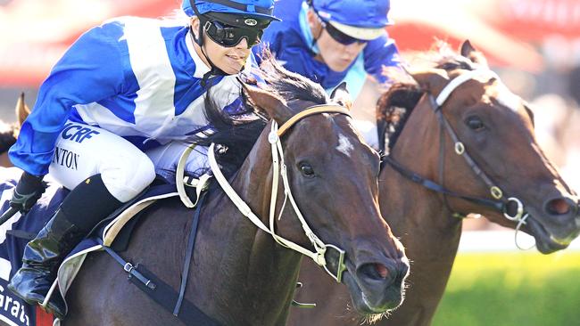 Felines will be chasing her third win from four starts this campaign on Saturday. Picture: Jenny Evans
