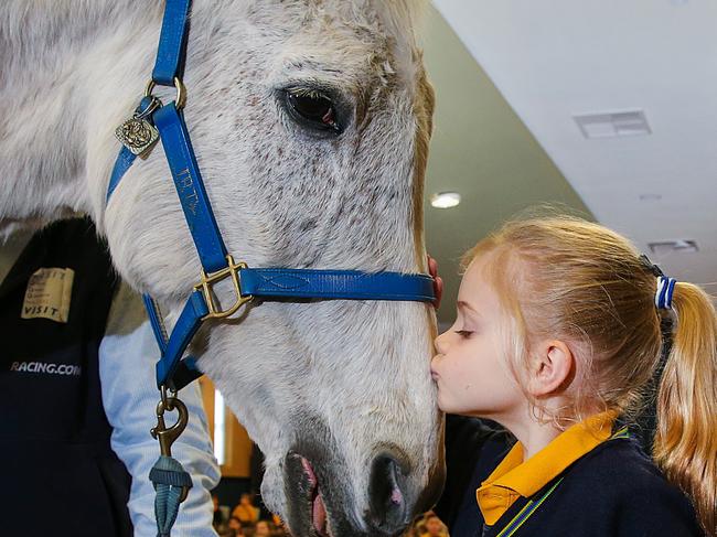 Retired 1992 Melbourne Cup winning racehorse Subzero visits St Raphaels Primary School in West Preston to educate kids on horse health and safety. Prep student Evie gives Subzero a kiss. Picture: Ian Currie