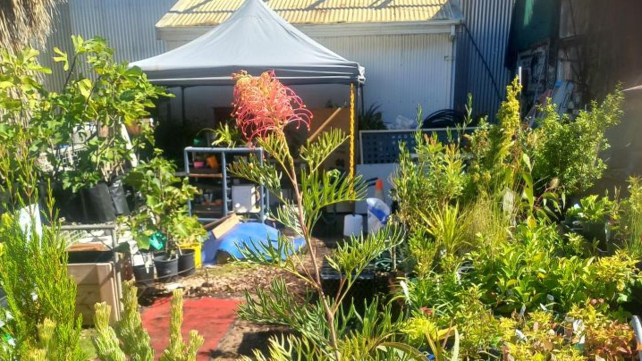 Port Adelaide gardening shop Garden Goodness is closing down. Picture: Supplied