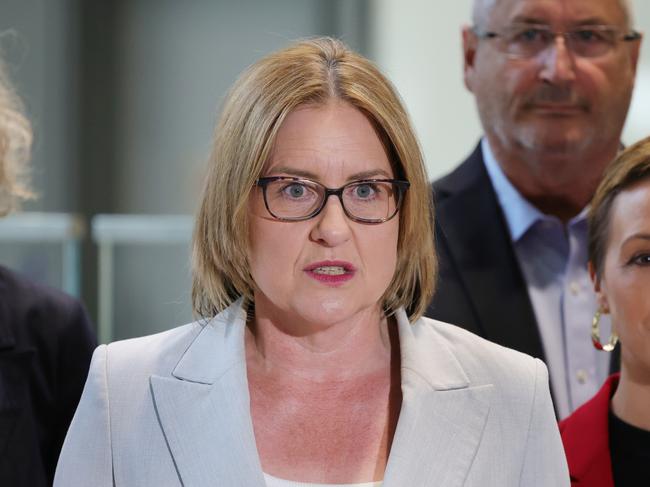 Allan government will introduce tax exemptions for family violence victims. Picture: David Crosling