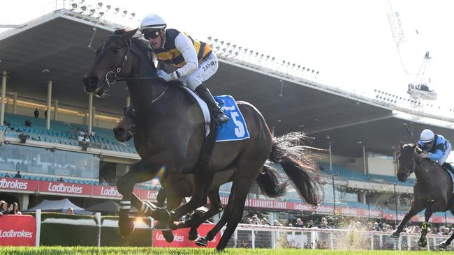 Lincoln Rocks is a great chance to handle a rise in class with aplomb at The Valley on Saturday. Picture: Racing Photos via Getty Images