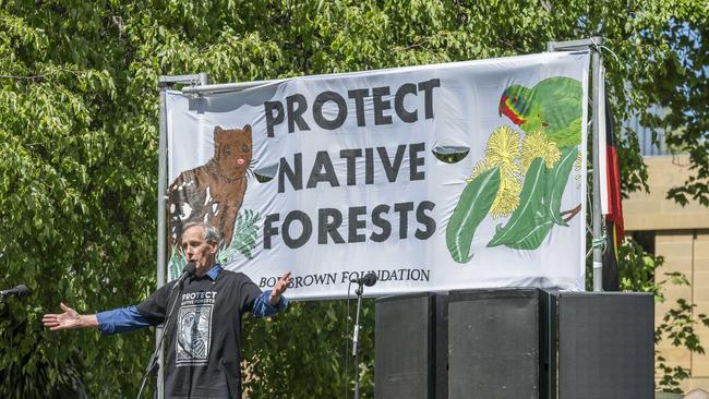 Bob Brown addresses the rally at Parliament House Lawns in Hobart. Picture: Caroline Tan