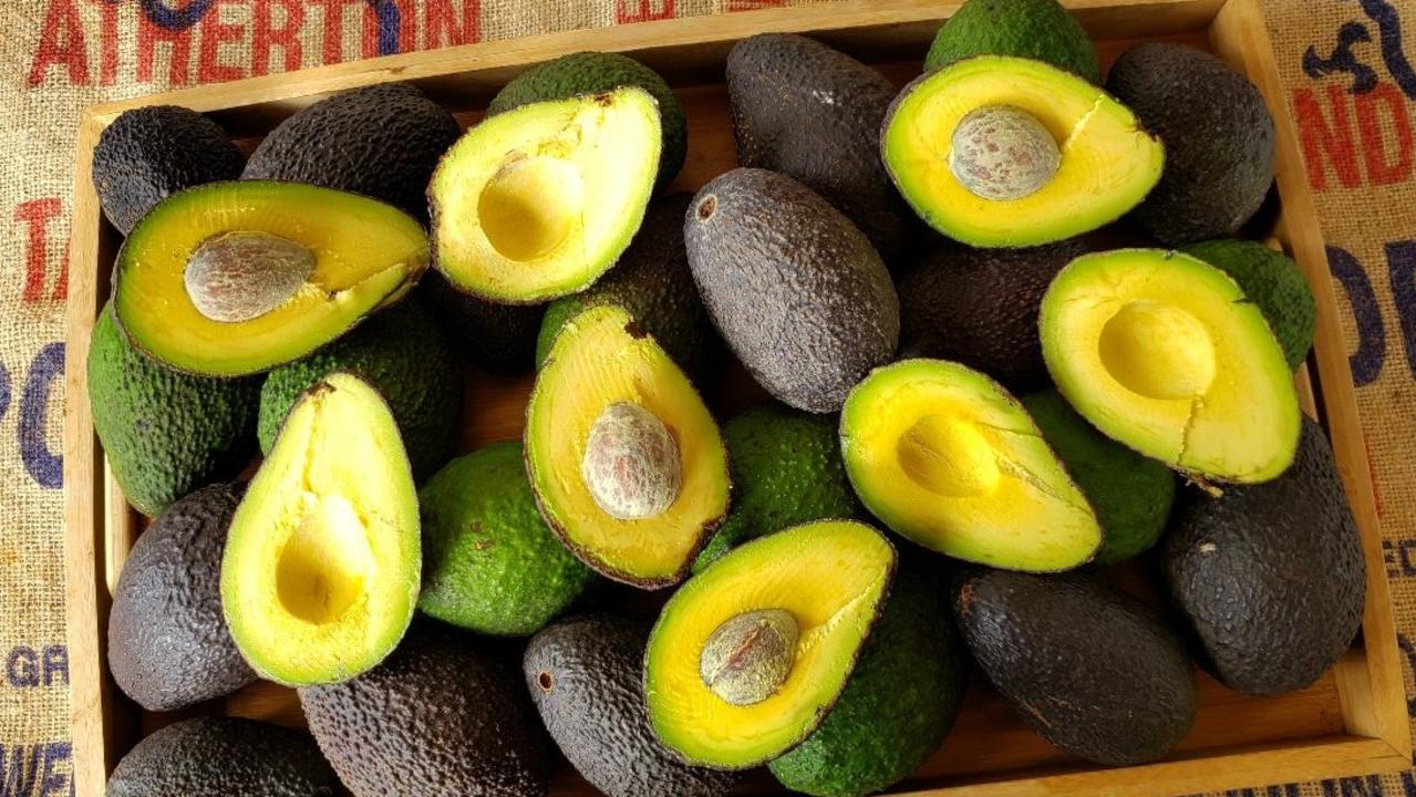 Cheap avocados on offer through Tablelands to Tabletops in a bid to ...