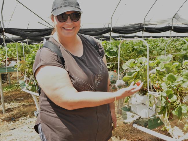 Anita was impressed with the produce at Eastern Colour during Stanthorpe's Apple and Grape Harvest Festival on Saturday, March 2, 2024. Photo: Jessica Klein