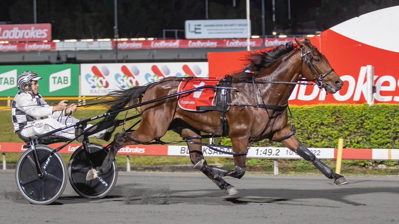 Leap To Fame in action at Albion Park.