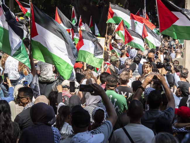 A rally For A Free Palestine protest event at Hyde Park. Picture: NCA NewsWIRE / Monique Harmer