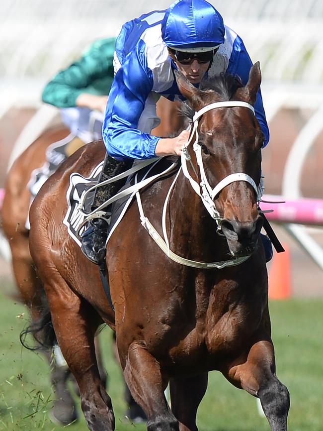 Winx in full flight. Picture: AAP