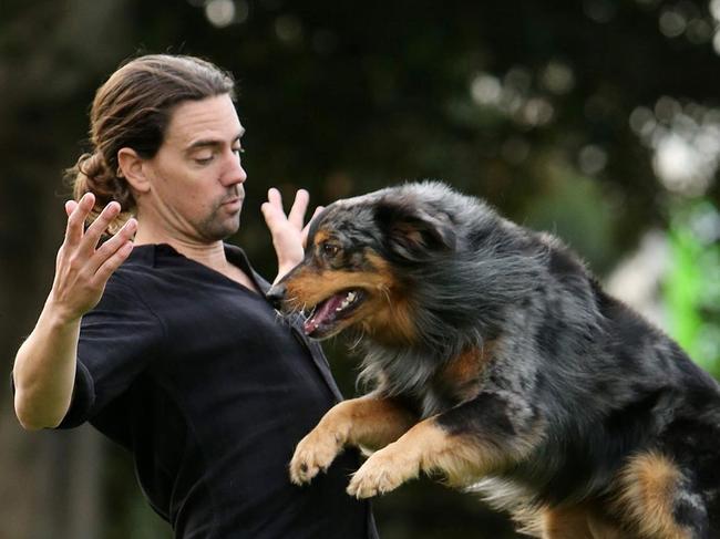 Jen and husband Ryan Tate have been learning the secret ways of dogs for years. Picture: Instagram