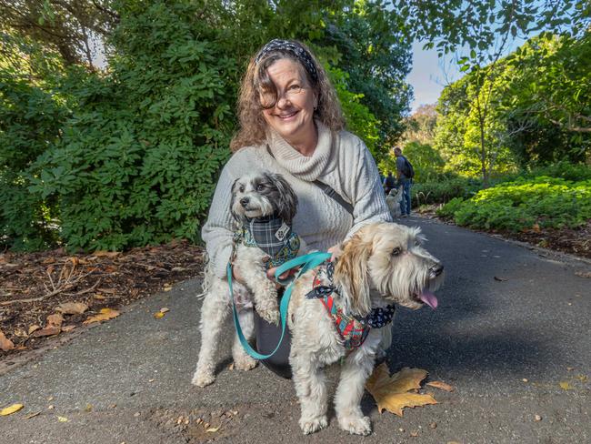 RSPCA SA's Million Paws Walk in Adelaide on May 25, 2025. Picture: Ben Clark
