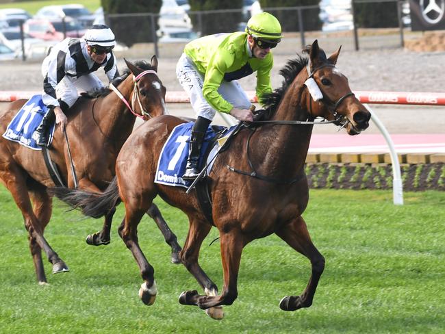 Dashing Duchess (NZ) ridden by Mark Zahra wins the Domsafe Handicap at Moonee Valley Racecourse on August 10, 2024 in Moonee Ponds, Australia. (Photo by Brett Holburt/Racing Photos via Getty Images)