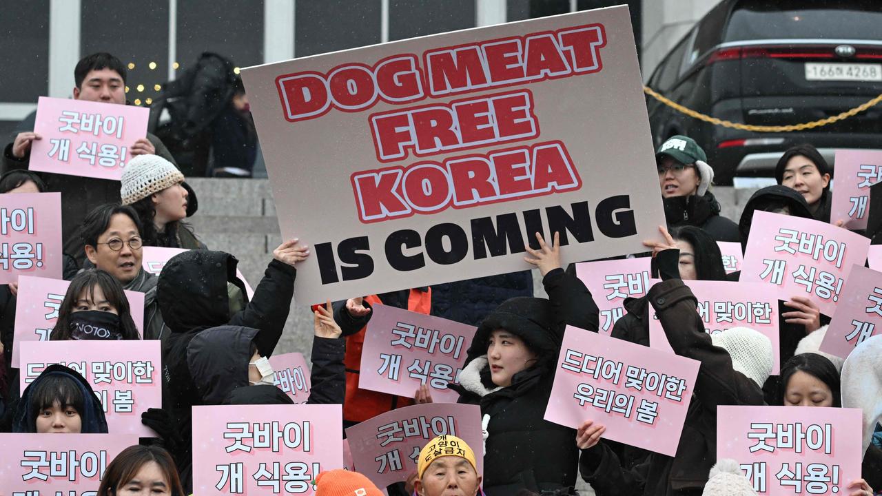 Animal rights activists hold placards reading "Good bye dog meat!" during a rally welcoming a bill banning dog meat trade at the National Assembly in Seoul on January 9, 2024. Picture: AFP