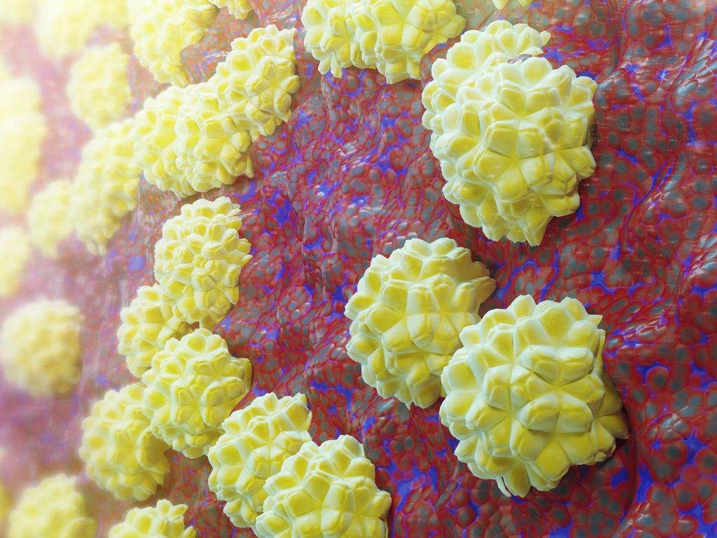 Chlamydia is also increasing in many areas.