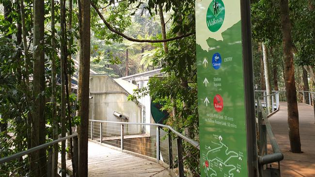 Located in the Jamison Valley, the Scenic Walkway is 2.4 kilometres of elevated boardwalk. Picture: Isabell Petrinic