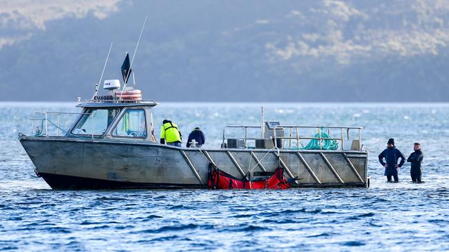 The rescue operation winds up for the day on September 22, 2020 after about 270 pilot whales became stranded at Macquarie Heads at Strahan. Picture: PATRICK GEE