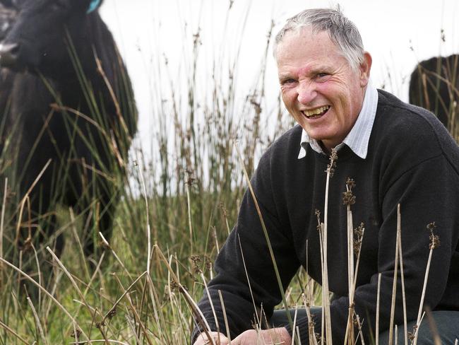 Beef farmer Steve Pilkington at West Montague. PICTURE CHRIS KIDD