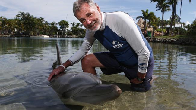 Sea World director of Marine Sciences Trevor Long, with Squeak the dolphin, says there should be no comparison between the US and Australian theme parks because they are separate companies with different animal welfare standards. Pic:Tim Marsden