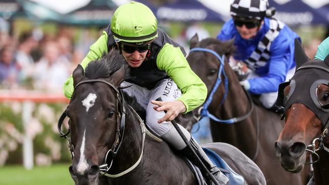 Persan hits the Melbourne Cup in good form. Picture: Getty Images