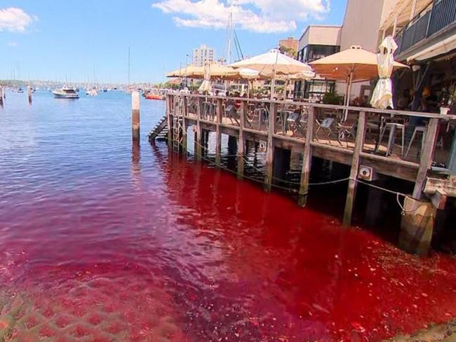 There is no known cause for the red water. Picture: 7News