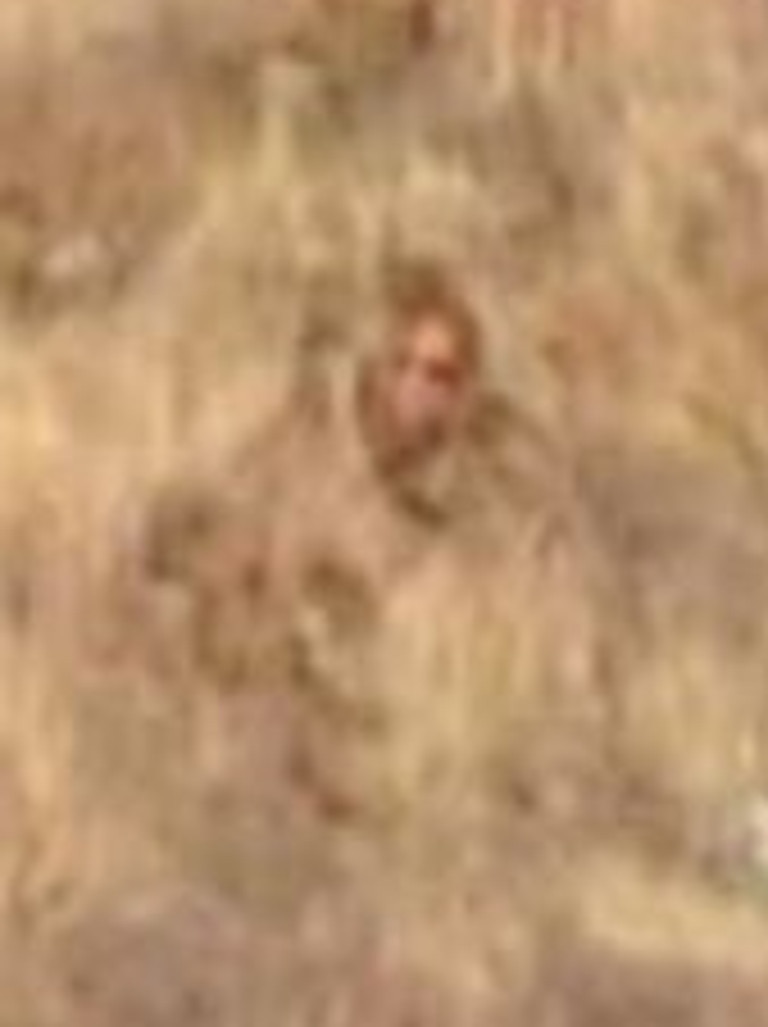 Bigfoot 'spotted' in Colorado in broad daylight — see the video