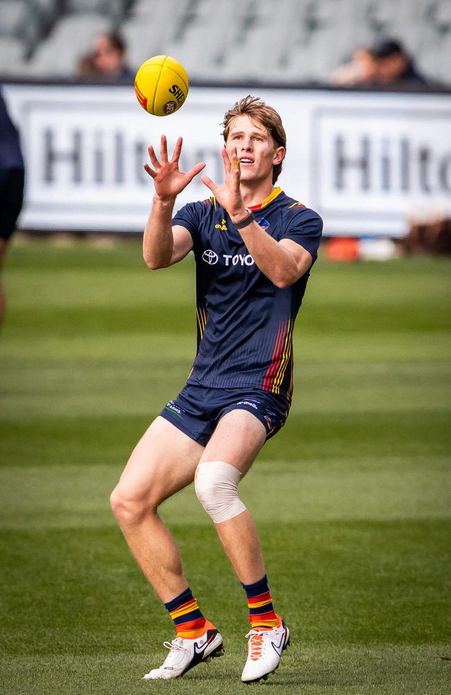 How will the Crows use Dan Curtin in 2025? Picture: Tom Huntley