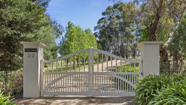 A tree-lined driveway makes a statement on arrival.