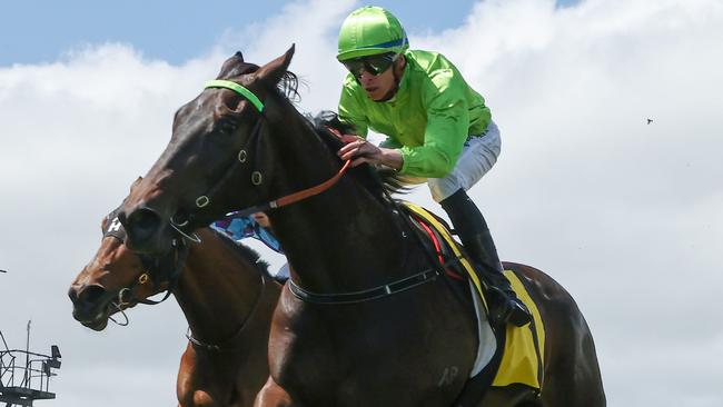 Too Darn Discreet had to dig deep to win the Ethereal Stakes at Caulfield. Picture: Michael Klein