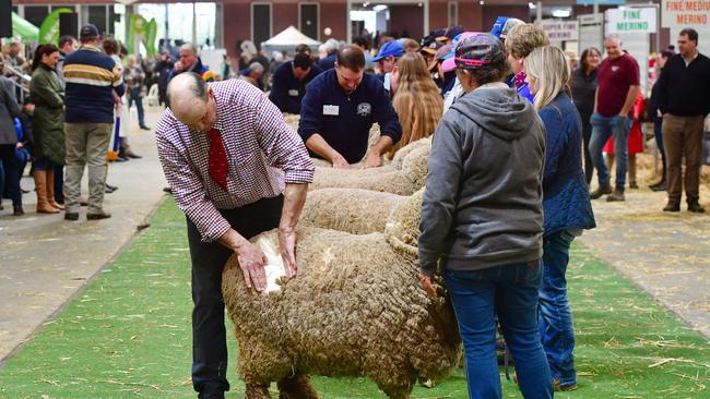 Judges cast their eye over the best at Bendigo. Picture: Zoe Phillips