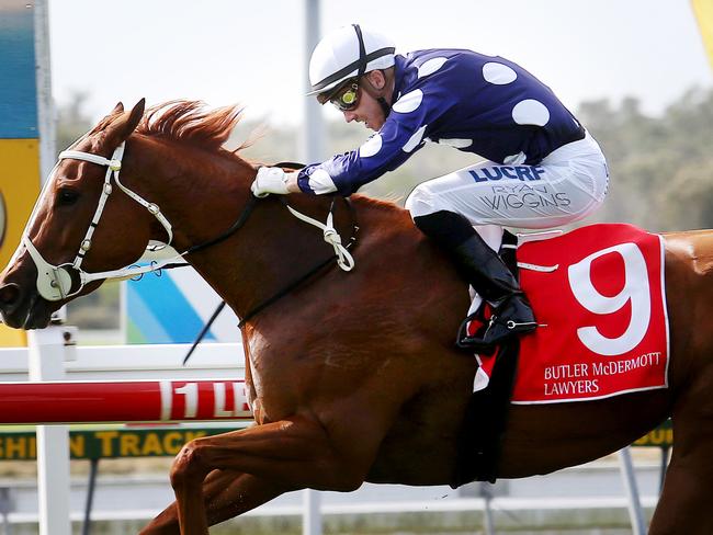 She's Miss Devine proves too good for her rivals on Caloundra Cup Day last year. Picture: Tara Croser