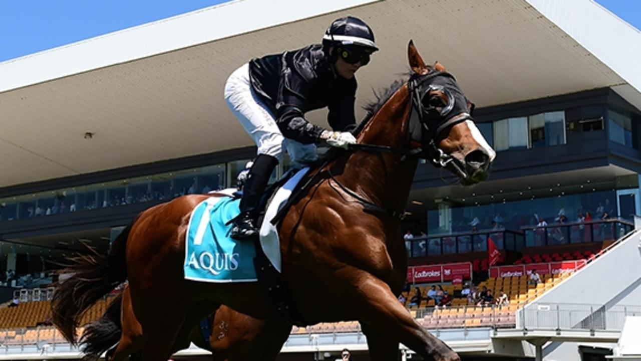 Birchley scuttles 2YO plunge with $3750 buy