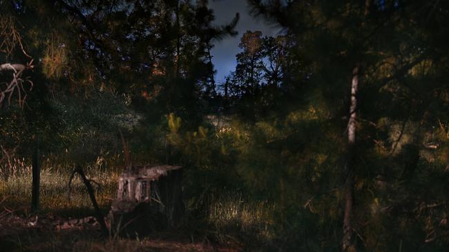 Untitled 6 2018–19 by Bill Henson. Monash Gallery of Art
